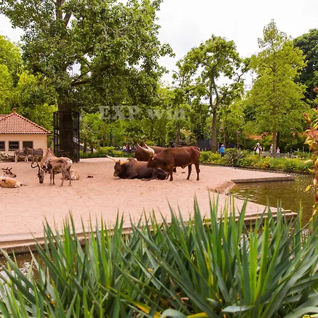 Hampton By Hilton Centre East Hotel 4*