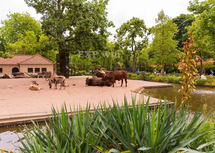 Hampton By Hilton Centre East Hotel 4*