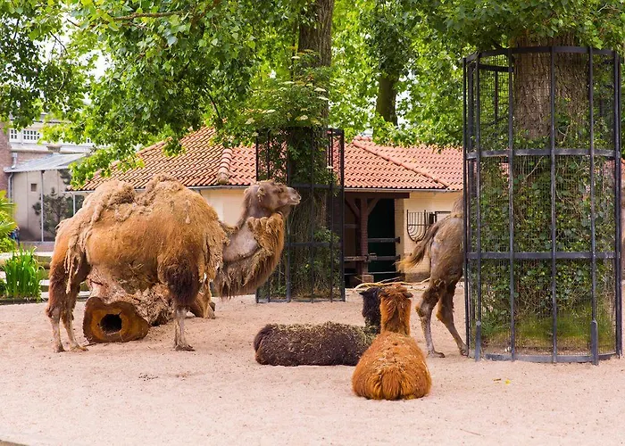 Hampton By Hilton Centre East Hotel Amsterdam